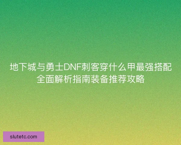 地下城与勇士DNF刺客穿什么甲最强搭配全面解析指南装备推荐攻略